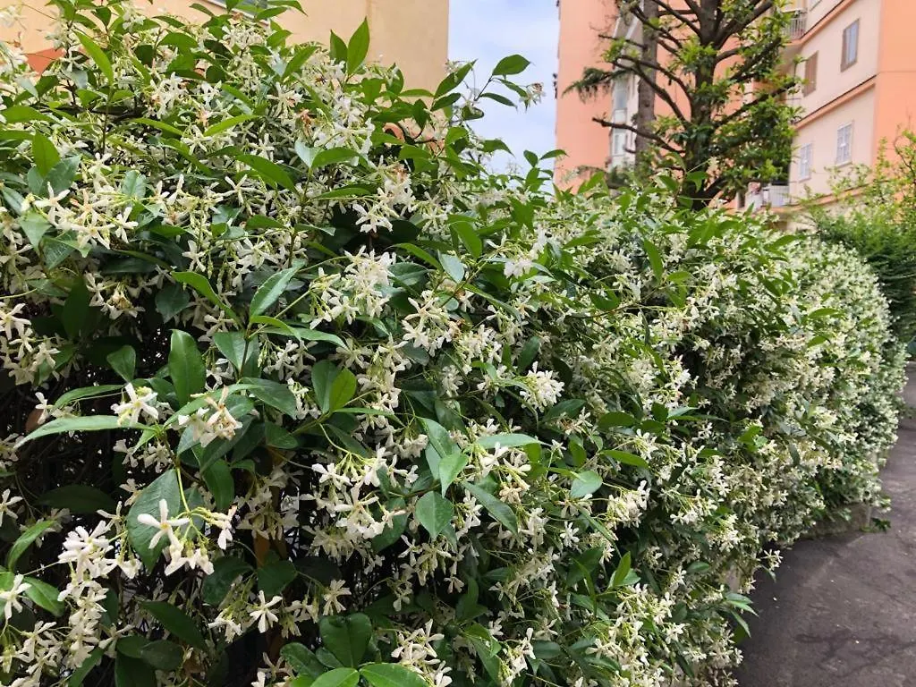 La Casa Nel Parco Bed & Breakfast Naples